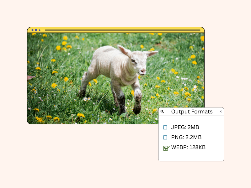 Different image formats and reduced file size